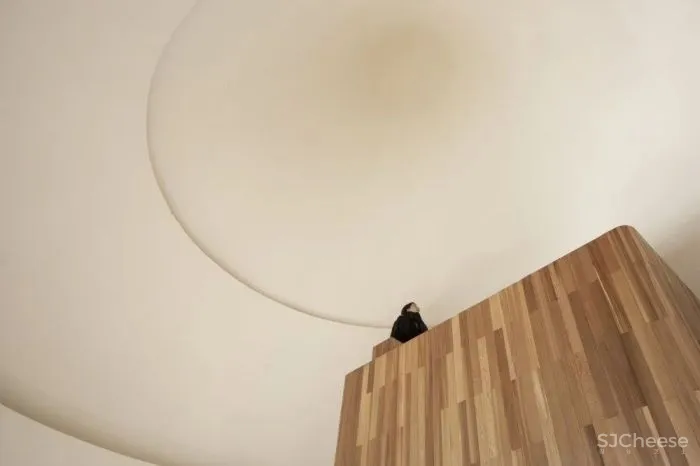 江西\森林中的蘑菇木屋 休耕建筑