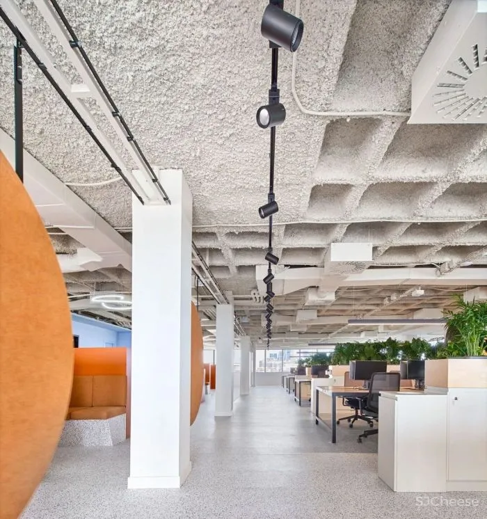 办公区的色彩艺术