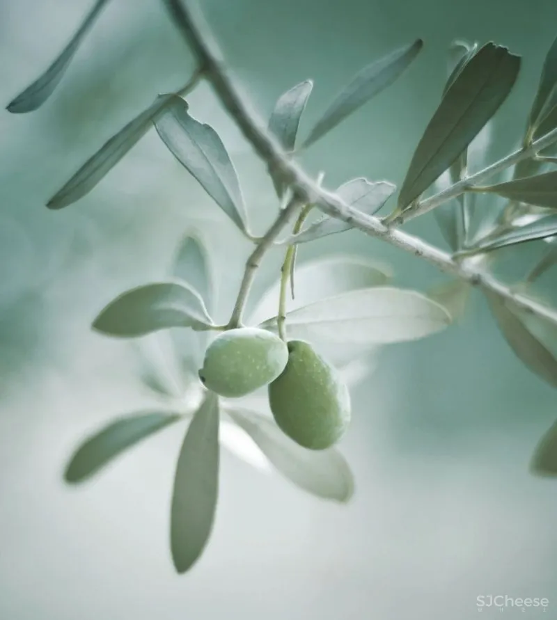 远离喧嚣, 独享静谧时光 Alberto Apostoli