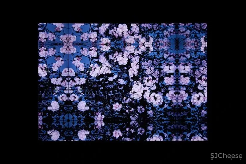 资生堂的 6 个橱窗设计，今年请来了妹岛和世