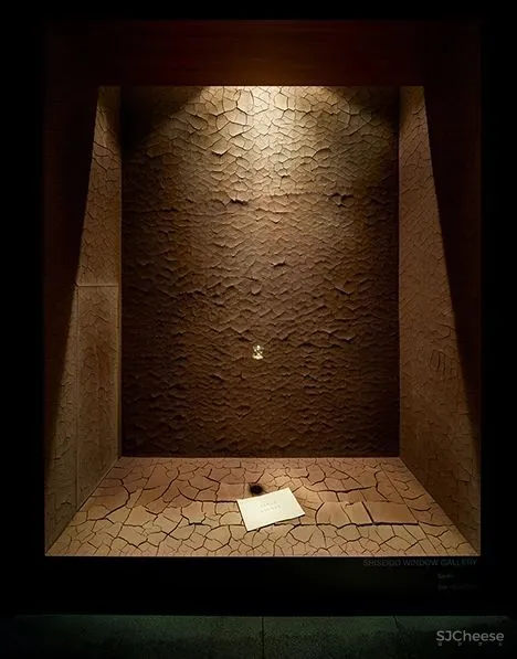 资生堂的 6 个橱窗设计，今年请来了妹岛和世