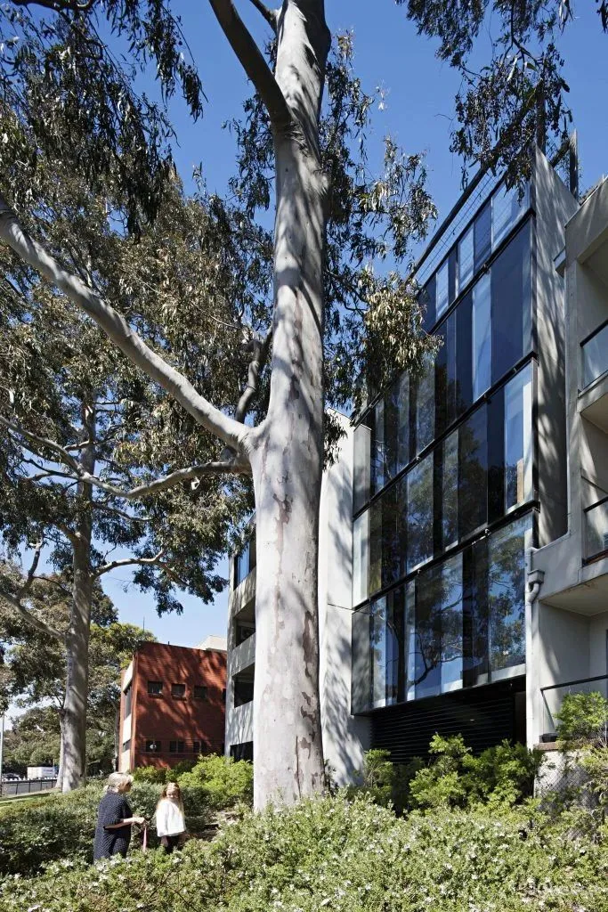 国际一线女设计师作品Mixed Use House