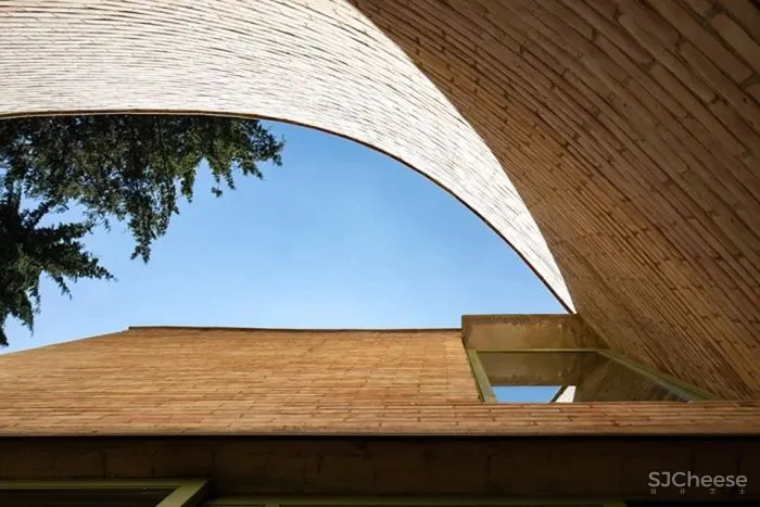 新作 自然无处不在 森林之家 LANZA Atelier