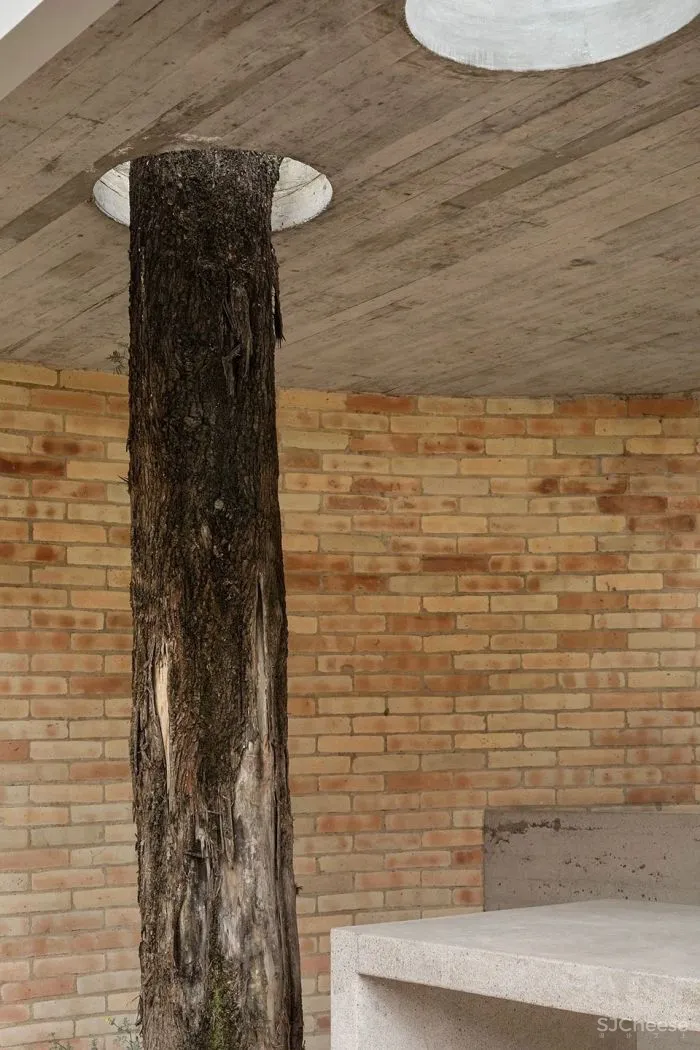 新作 自然无处不在 森林之家 LANZA Atelier