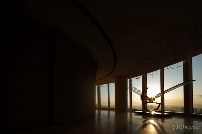 飞行的姿态,1895时光城市展厅 共生形态