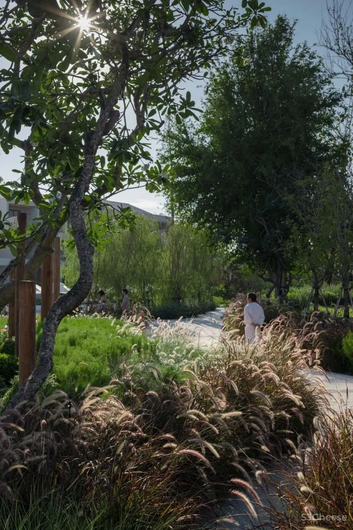 泰国又出极致度假酒店:面朝大海,融于自然!