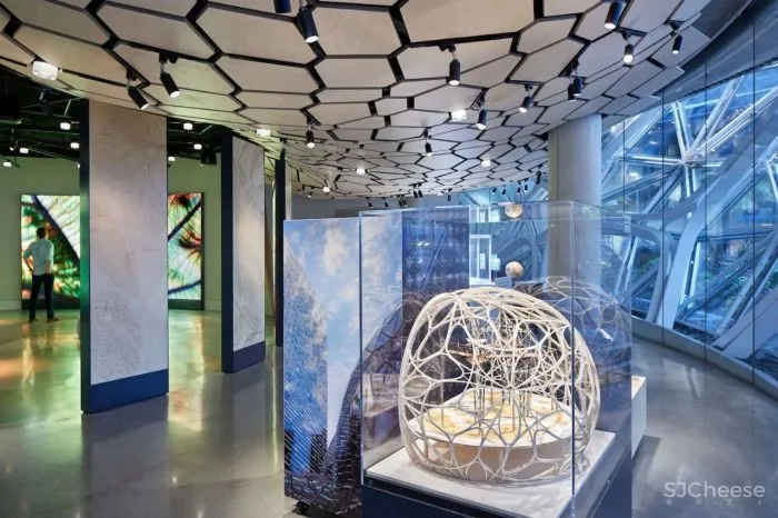 自然与建筑：球体的故事