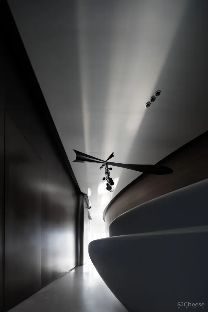 飞行的姿态,1895时光城市展厅 共生形态