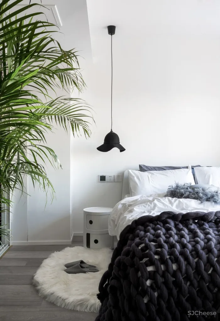 色彩菲斯 双宝设计机构