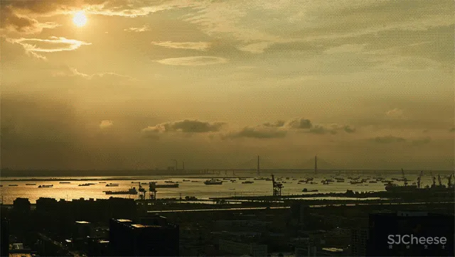 飞行的姿态,1895时光城市展厅 共生形态