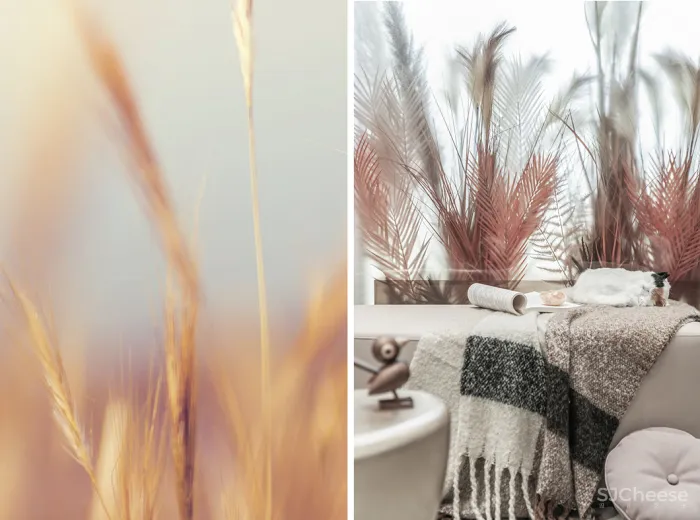 柯翊 \ 大朴:祥源悦江南 · 以花之名,诠释家的温度!