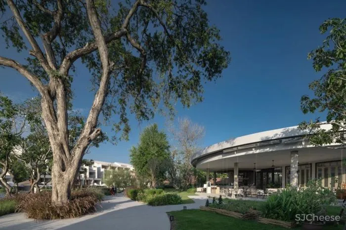 泰国又出极致度假酒店:面朝大海,融于自然!