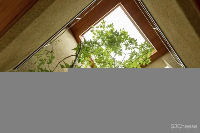 “下沉式”庭院来袭,比传统院子更实用!