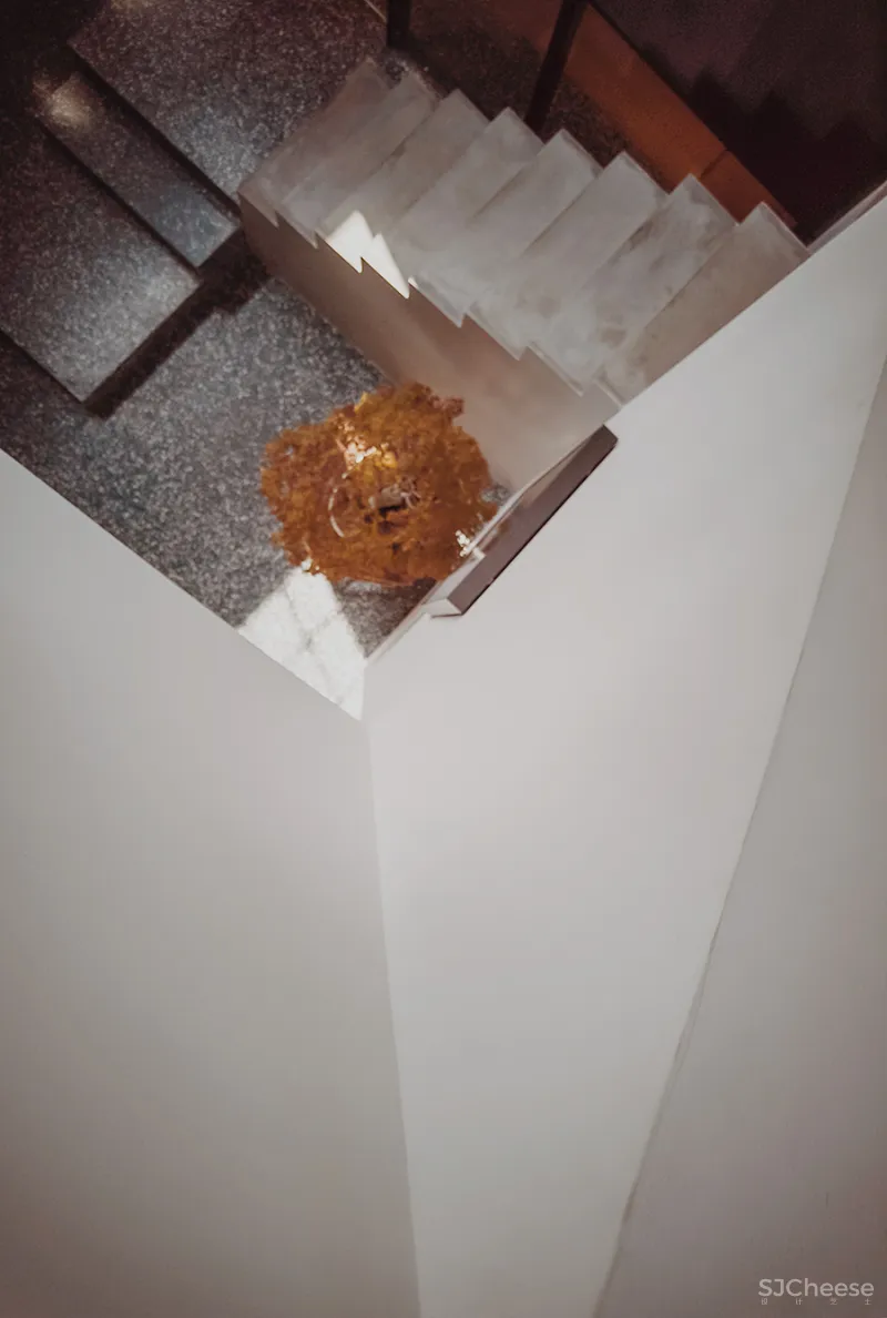 LJ 探店｜廷泰茶空间｜一个懂茶爱茶之人，斥资千万打造而来