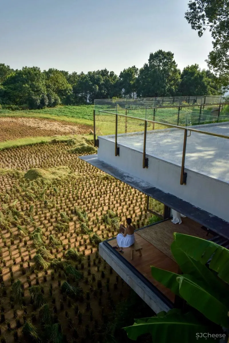 稻田里的家 园中有屋,屋中有院