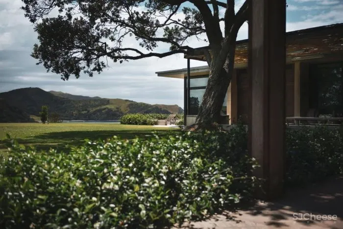 等待Cheshire Architects新西兰设计事务所-不拘泥于固定的风格!