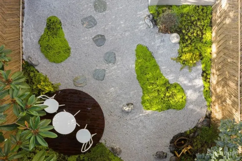 风和树影，重获新生的70㎡上海老洋房 桐话空间