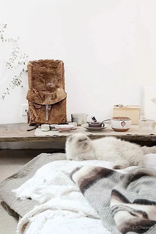 90后独居男生和他1500m²的极简住宅