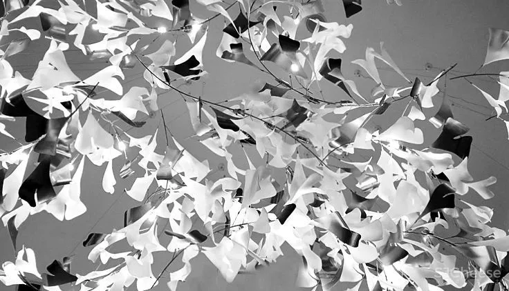 AI DESIG Somewhere In Time 石家庄.富力城