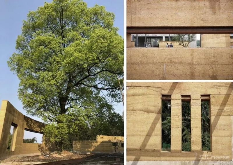 稻田里的家 园中有屋,屋中有院