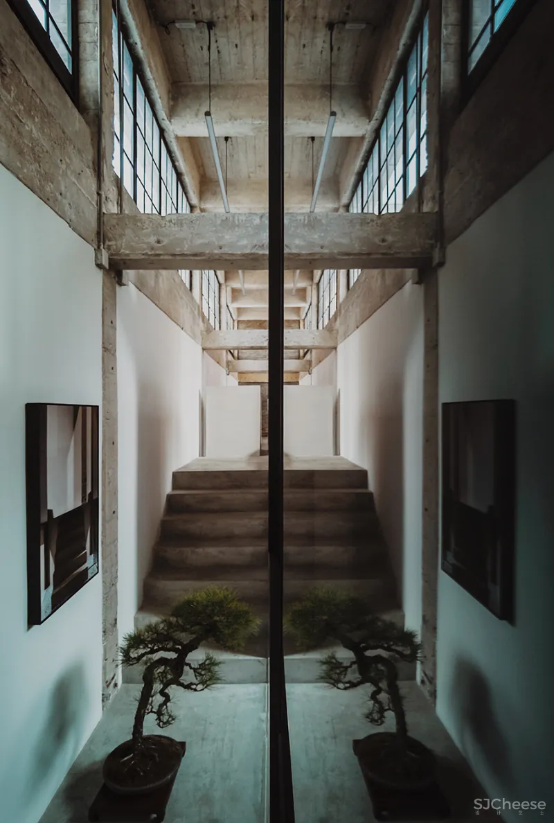 LJ 探店｜廷泰茶空间｜一个懂茶爱茶之人，斥资千万打造而来