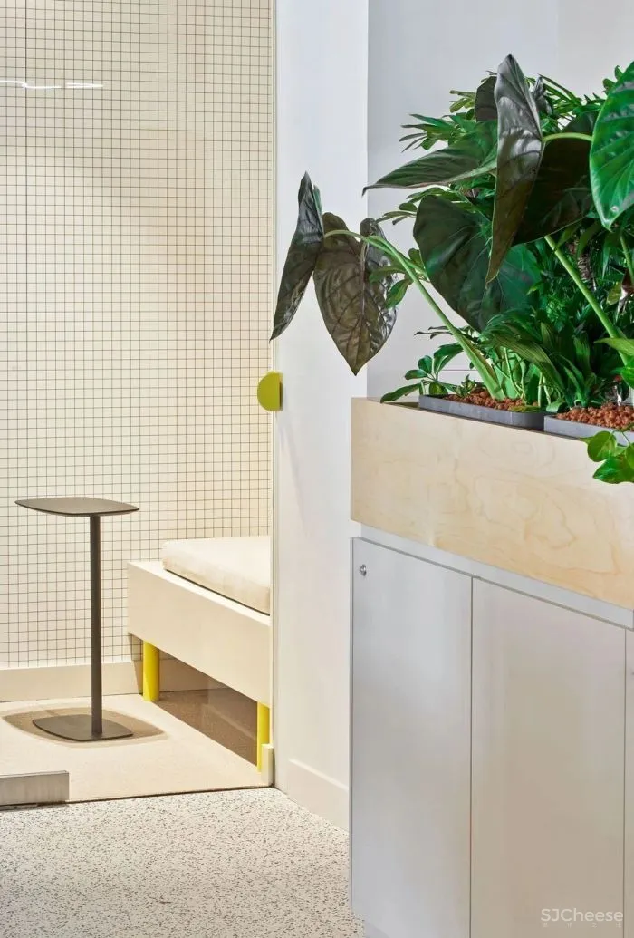 办公区的色彩艺术