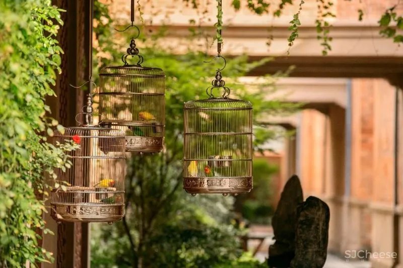 嘉佩乐Capella酒店:“ 城市度假”的理想模样