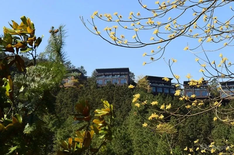 国际高端度假区莫干山,10个爆款文旅IP的打造逻辑