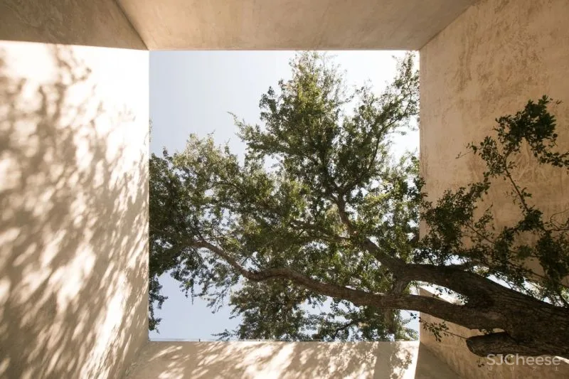 Casa Duraznos V Taller