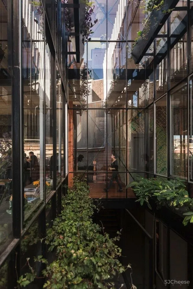 “下沉式”庭院来袭,比传统院子更实用!