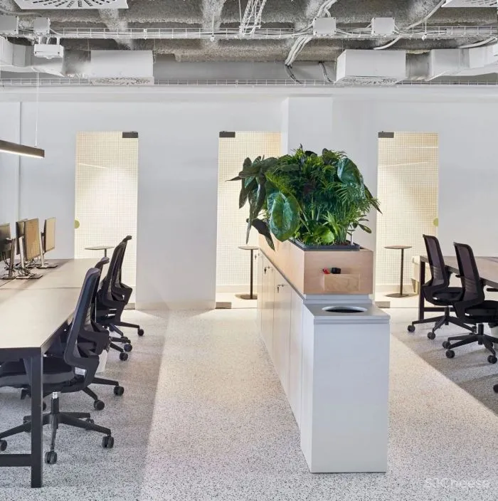 办公区的色彩艺术