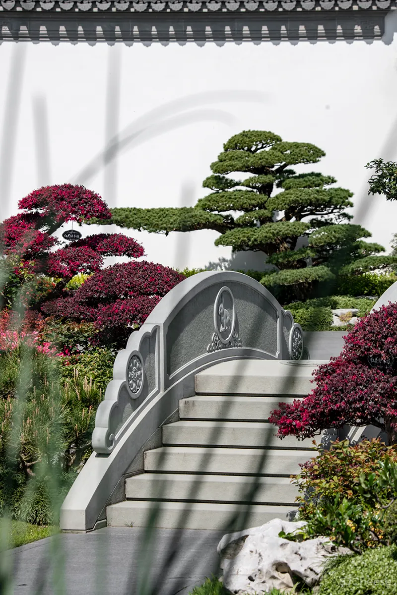 谢天 • 玫瑰园|素处以默,妙机其微—空间的非炫耀性设计