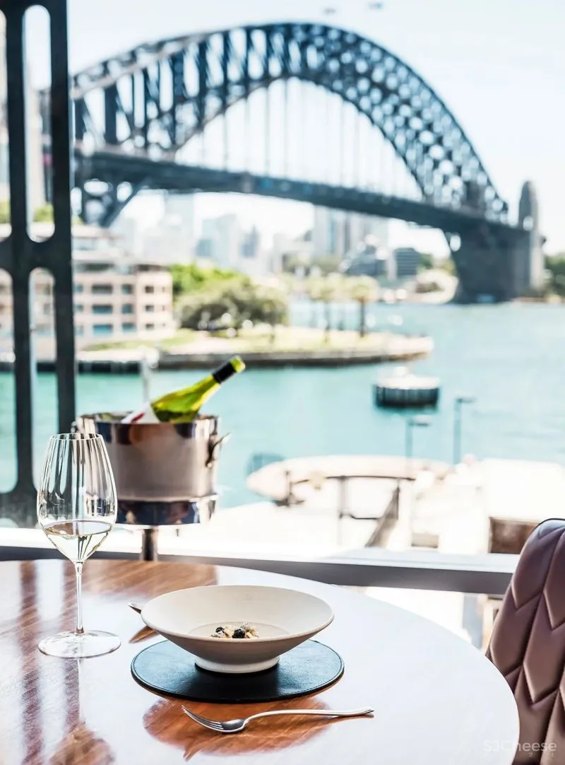 悉尼最高豪宅楼，46亿打造超奢华住宅，未建成便被富豪疯抢！