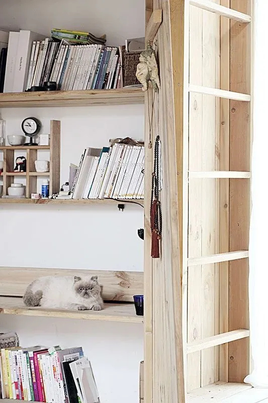 90后独居男生和他1500m²的极简住宅