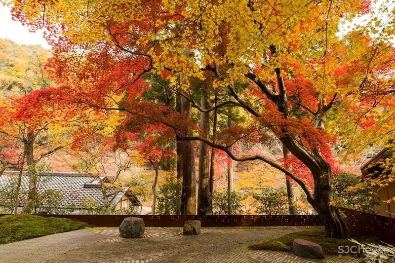 Rie Azuma 美到窒息的酒店设计!