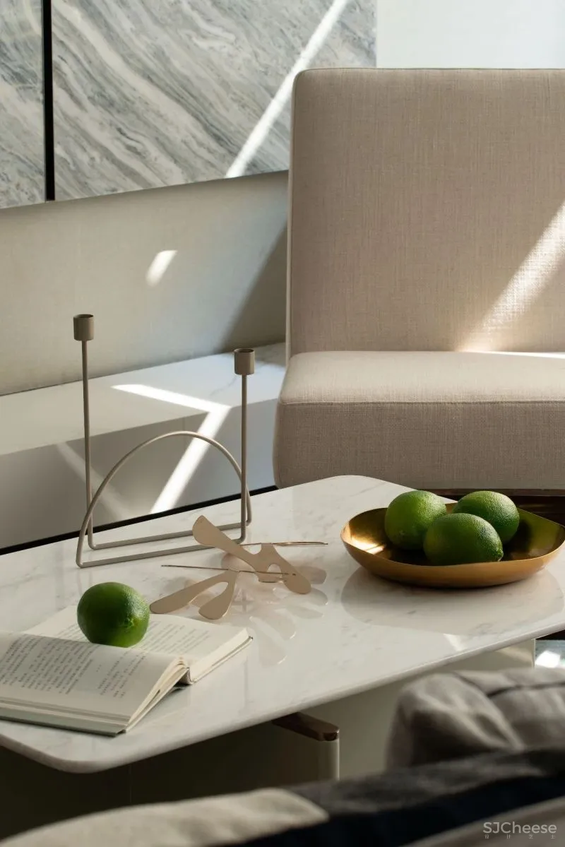 样板房辑录Ⅰ 给大家的理想家