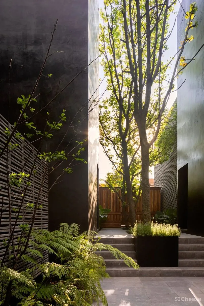 专访 墨西哥设计工作室 PPAA