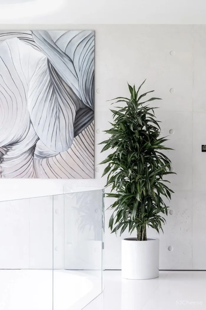 致敬安藤忠雄!5000㎡极简豪宅,用3万吨土“垫高“5米,只为看个风景?