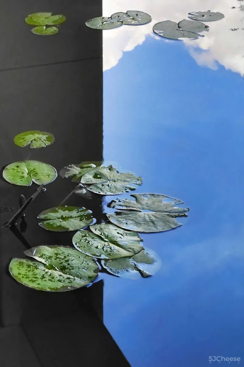 比利时建筑师Olivier Dwek-把现代极简发挥到极致!