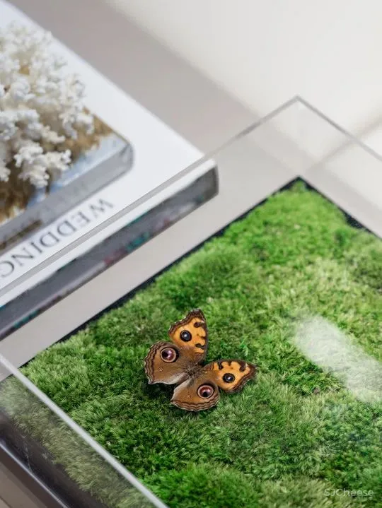 东原启城 一江一山起一城