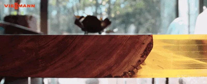 陈耀光：诗意栖居，在光合院里触摸惊喜和生命的鲜活