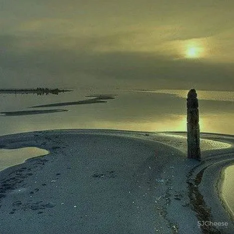 九度设计:自然美学 未来科技