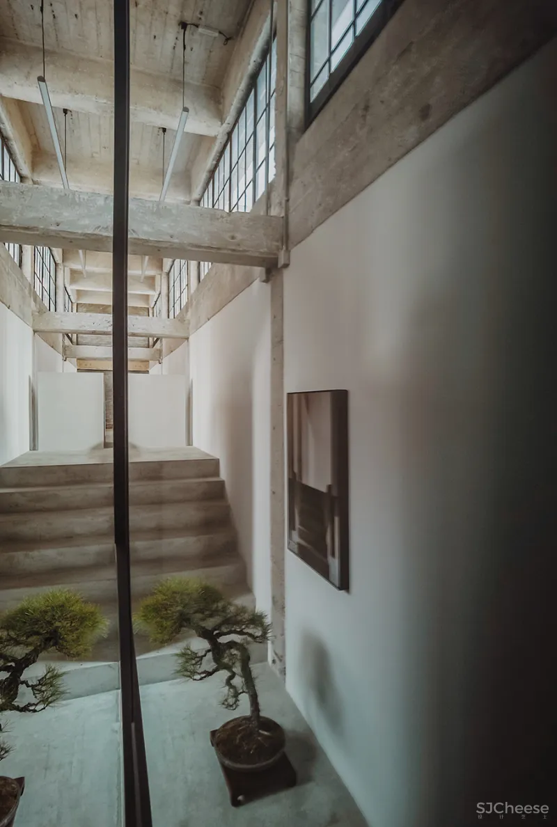 LJ 探店｜廷泰茶空间｜一个懂茶爱茶之人，斥资千万打造而来