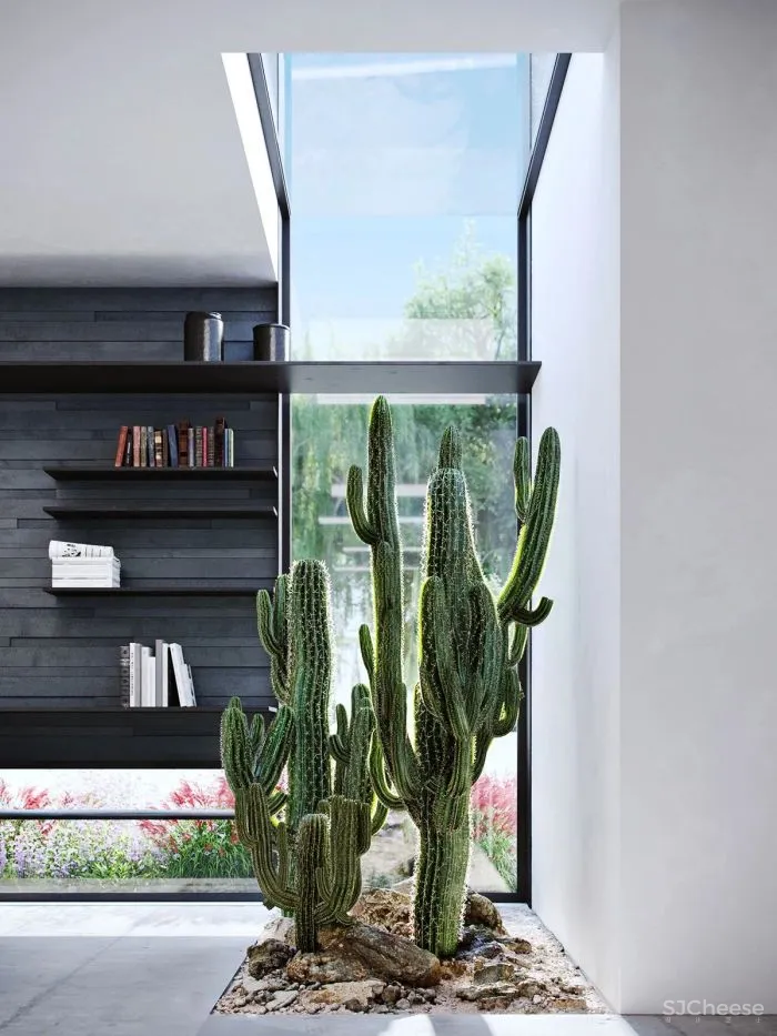 以色列的极简主义黑白美学 Raz Melamed新作