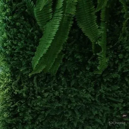 九度设计:自然美学 未来科技