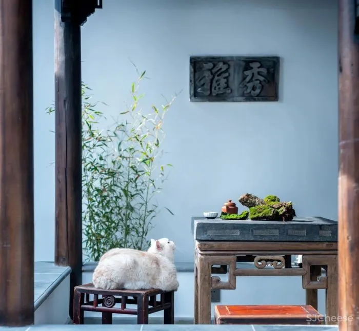 他花数百万修复明代老宅，只为回到500年前的生活