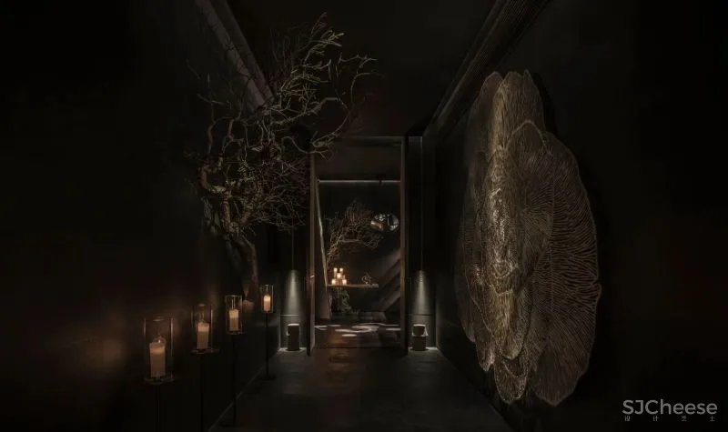 内建筑沈雷最新设计:LS Spa!