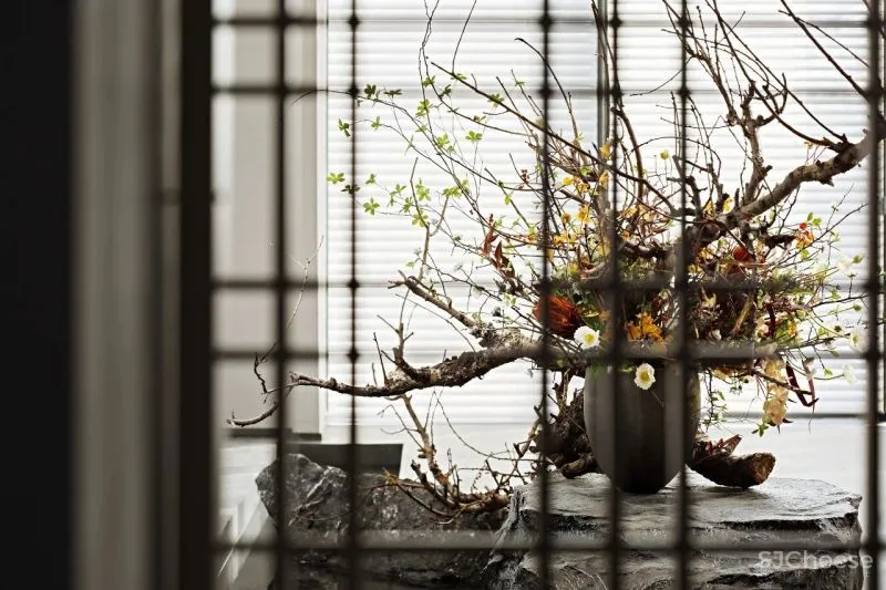 矩陣新作 漫步天韵花园 重新丈量生活