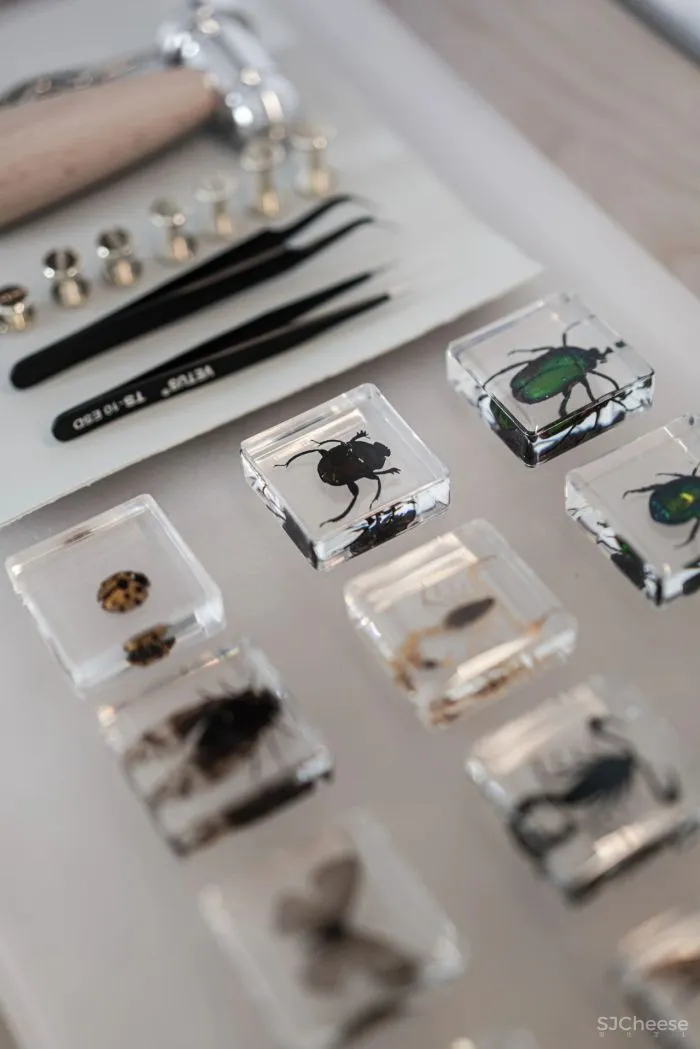 奥迅设计 · 奥妙陈设:荷塘月色 肇庆方直亚汀公馆样板间 A户型