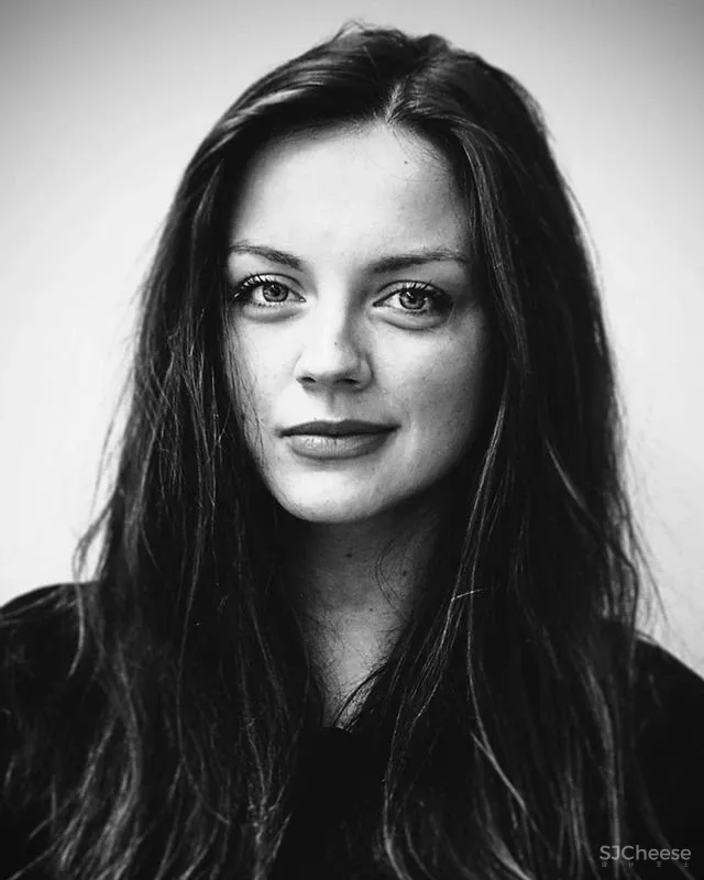 Framework 质朴无华